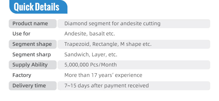 Global Market Diamond Segments for Marble Granite Cutting Hot Press Sintering Tools