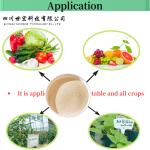 Plant Origin Hydrolyzed Amino Acid Powder 80% Free Amino Acid 75-80%