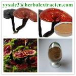 reishi mushroom series: Reishi slices, Reishi Mushroom Extract polysaccharide 20