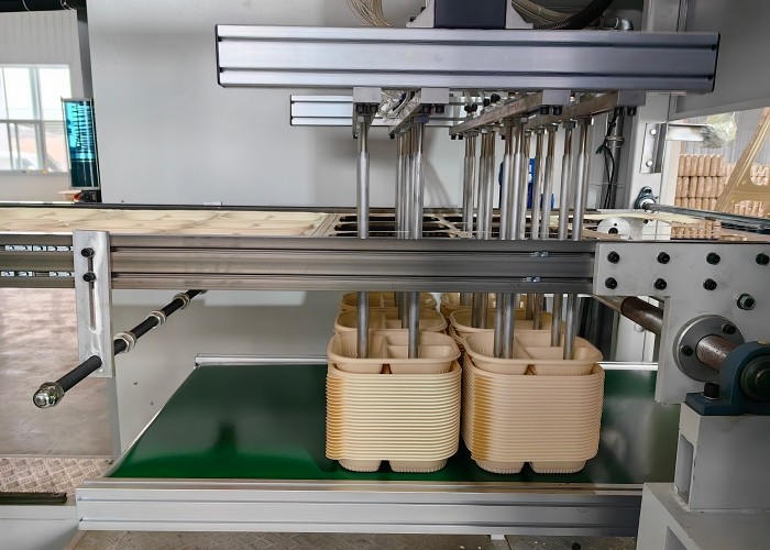 Blister Forming Machine Integrated Cutting Stacking Inline
