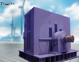 China IP20 IP21 Driving Coal Mill Large Synchronous Motor 1300KW wholesale