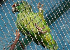 China Ferruled Stainless Steel Bird Aviary Wire Mesh Netting wholesale