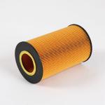 200V05504-0107 Oil Filter Catridge For Semi Truck Fuel Filter Cartridge In Heavy