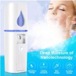 Skin Care 65.5g 20ml 450mAh USB Mini Handy Mist Sprayer