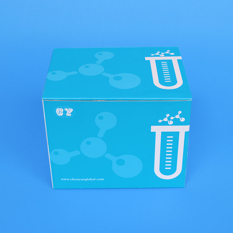 High Sensitivity 125mL Nucleic Acid Isolation Kit For Virus