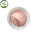 strawberry friut juice powder buy best spray dried strawberry health benefits