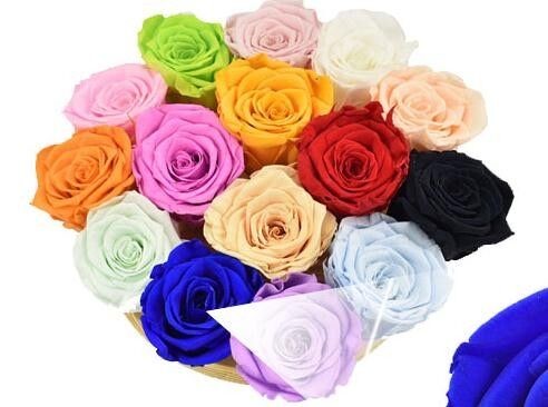 Hot Sale Beautiful and Romantic Preserved Roses Flower Roses in Heart Gift Box for Wedding Decoration