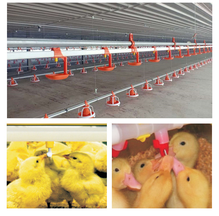 Quail Broiler Nipple Drinker Poultry Drinking Line Parts Yellow Red