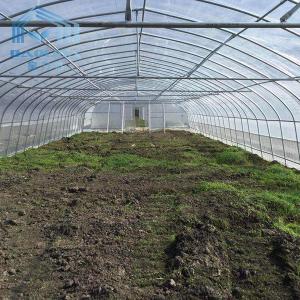 China Philippines Prefabricated Kit single-span Strawberry Greenhouse Tunnel Plastic Greenhouse wholesale
