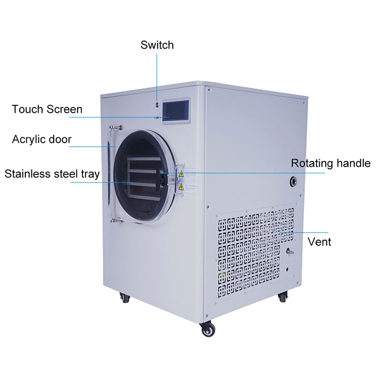 Brand New Multi-Function Food Factory Drying Turnip Large Freeze Dryer
