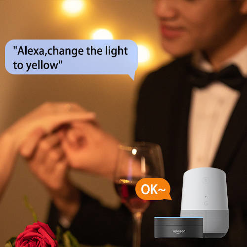 Led Bulb Smart Downlights Remoter Control Bluetooth Mesh Sync Music