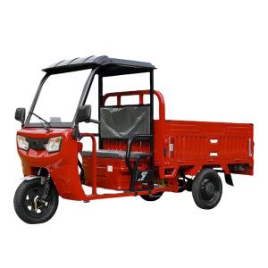China Electric Tricycle with Shed Household Cargo Climbing Truck Load Electric Vehicles wholesale