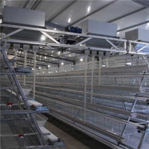 China Durable High Speed Poultry Farm Feeder , Automatic Chicken Food Dispenser wholesale