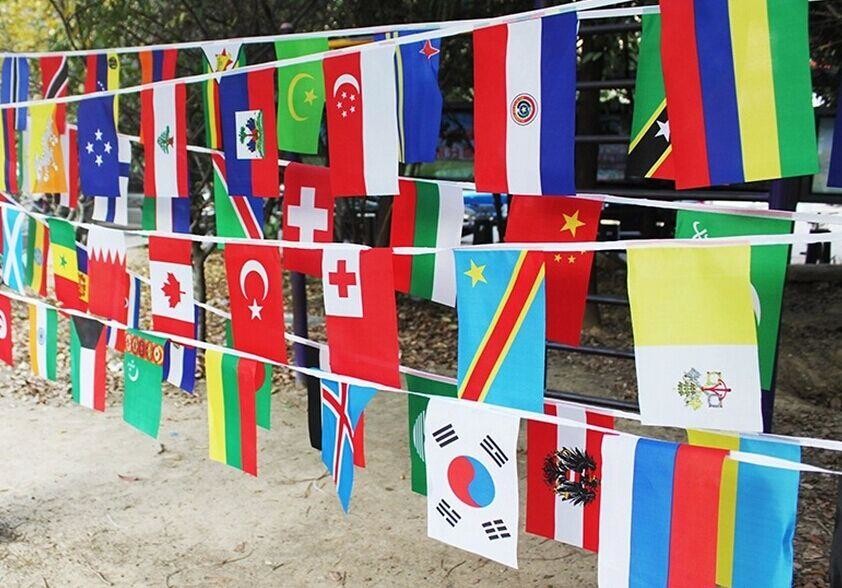Polyester Bunting Flags Outdoor , 10*15cm Decorative International String Flags