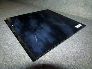China Black PVC Wall Profiles Hot Stamping Decorative Wall Cladding Strip wholesale