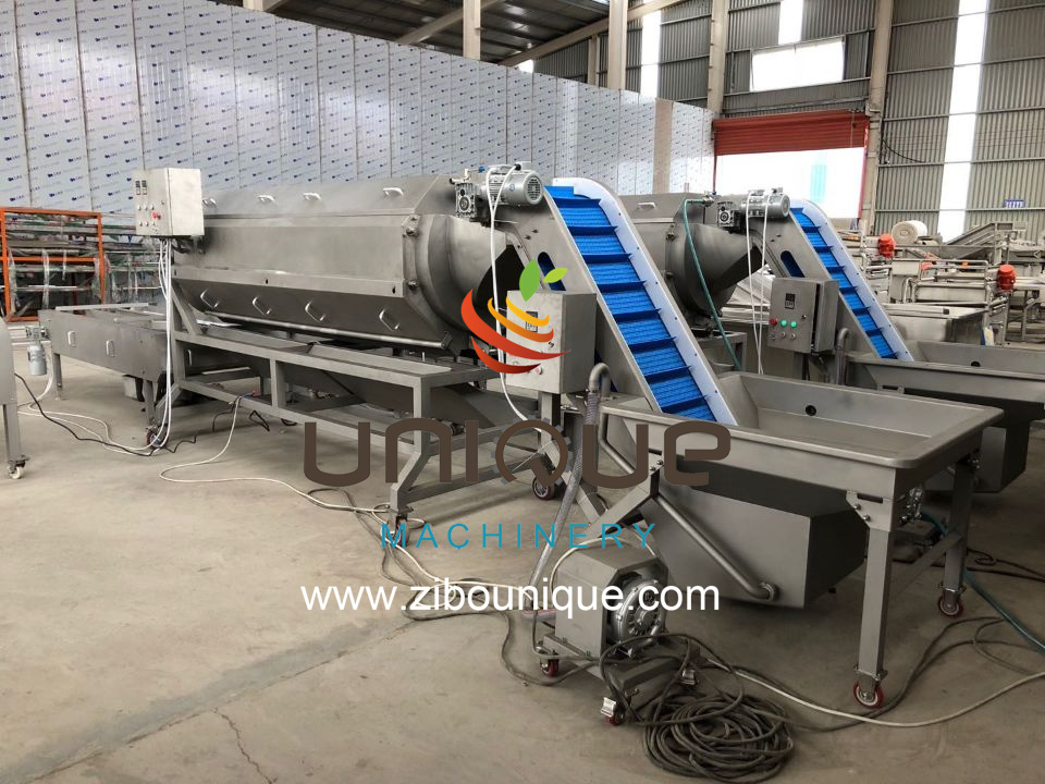 Automatic Clean Root Vegetable Asparagus Washing Line with Fruit Vegetable Juicer