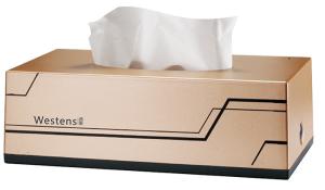 China Customized Living Room Gold Rectangular Tissue Box Holder wholesale