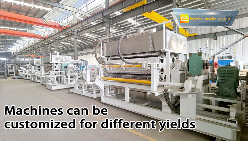Fully Automated Egg Carton Making Equipment Machine High Efficiency Tray type