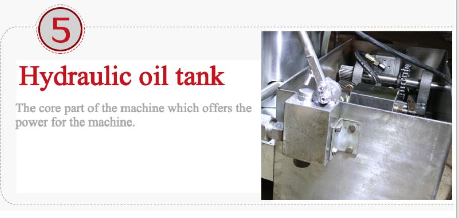 Cooking Oil Processing Equipment Hydraulic Screw Hot And Cold Press Machine