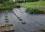Hobby Gardening Agriculture Non Woven Fabric 320cm Width Anti Mildew