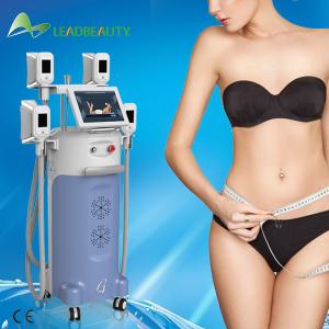 China High Power 2000W body shaping cryolipolysis slimming machine wholesale