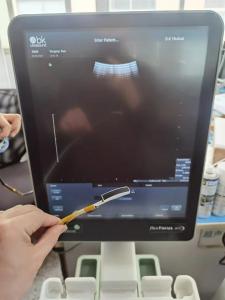 China Top BK Medical Surgical Ultrasound For medical diagnose BK 8666 Laparoscopic Probe Repair Probe wholesale
