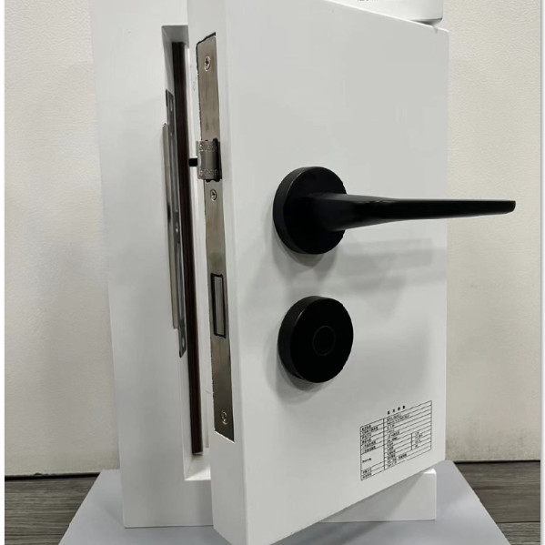 Semiconductor Fingerprint Unlock Door Smart Look Door Home