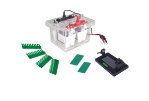 China JY-SCZ4 Vertical Gel Electrophoresis Equipment Mini Protean Electrophoresis Cell wholesale