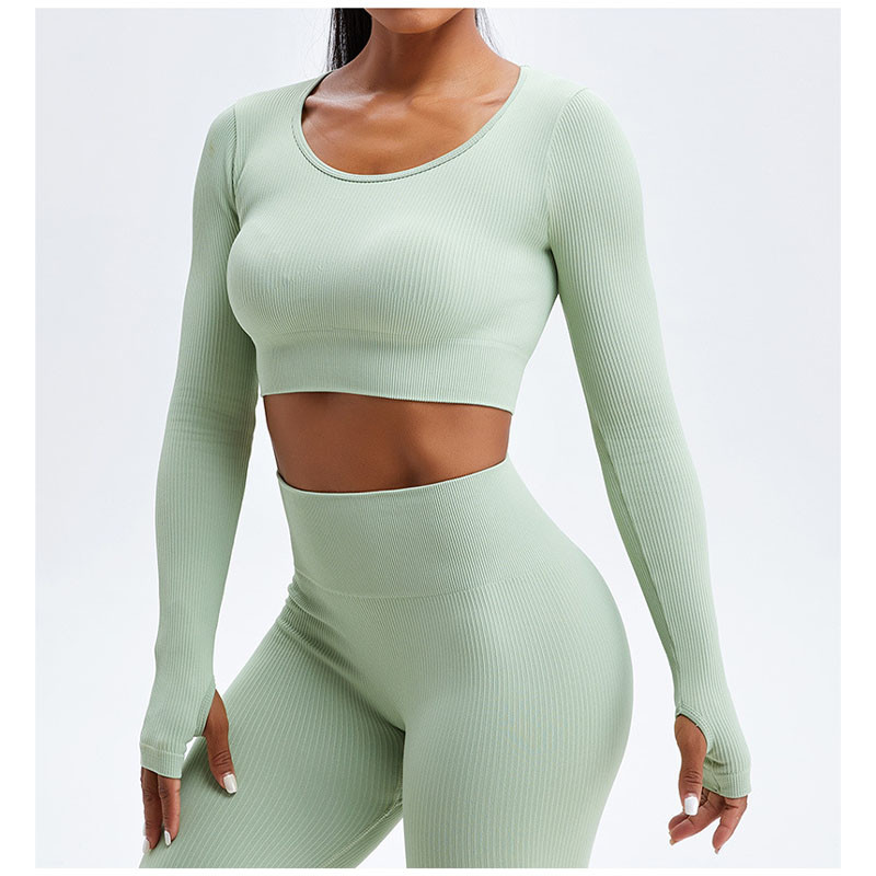 Stretchable Female Yoga Set Clothes Seamless Running Ribbed Crop Top Leggings