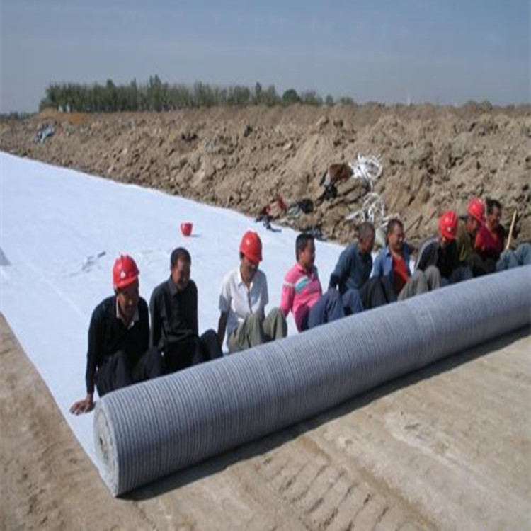 Customizable Sodium Bentonite Agriculture GCL Waterproof Blanket for Agriculture