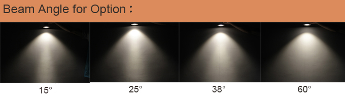 IP65 Waterproof Lighting Residential LED Wall Lamp With Dimmer Driver