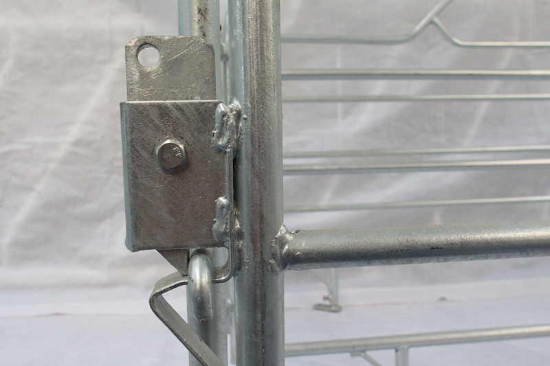 Custom Made Swine Farrowing Crates Good Heat Preservation Acid Resistance