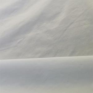 China 380t 36gsm Nylon Taslon Fabric 20dx20d Waterproof Nylon Fabric wholesale