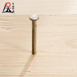 China Q195 Carbon Steel Polished Common Nails Durable Fastening wholesale