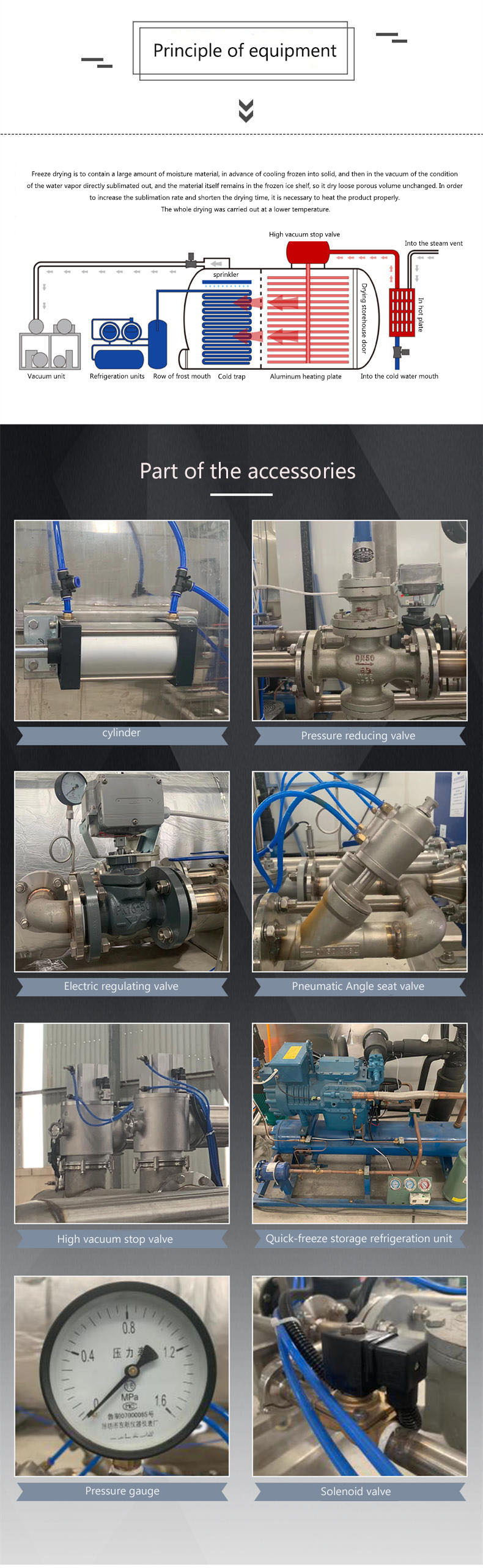 Stainless Steel Vacuum Freeze Drying Machine Automatic Quick Freezing Lyophilization