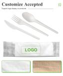 Composatable Biodegradable Free Spoon For Party Restaurant CPLA Disposable Spoon