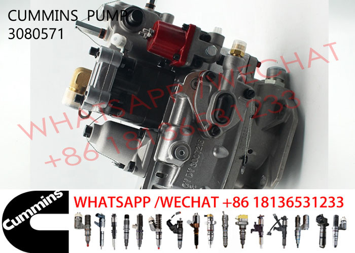 3080571 Cummins KTA19-C600 Diesel Engine Fuel Pump 3655884 4913582 3076130
