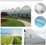 Stretch Film Type and Agricultural Packaging Film Usage LLDPE Silage Film/bale