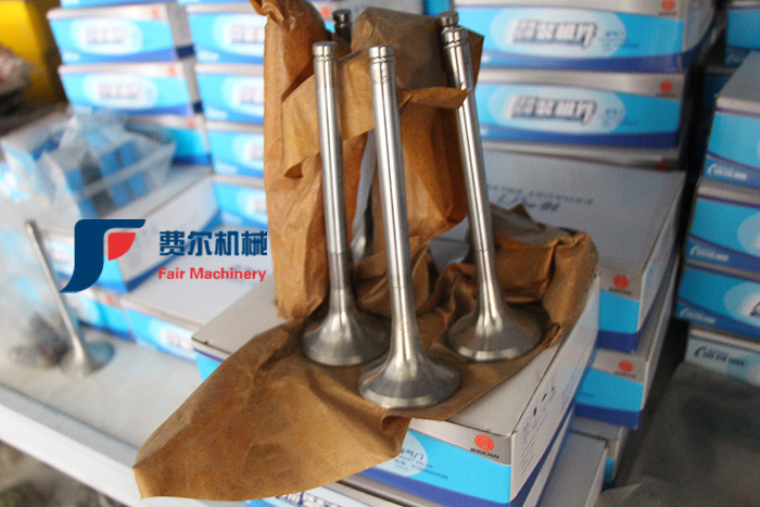 WP123003QD Weichai Engine Spare Parts Air Intake Valve 612600050073