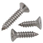 Torx Tamper Proof Self Tapping Screws