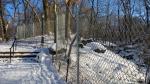 chain wire fence roll