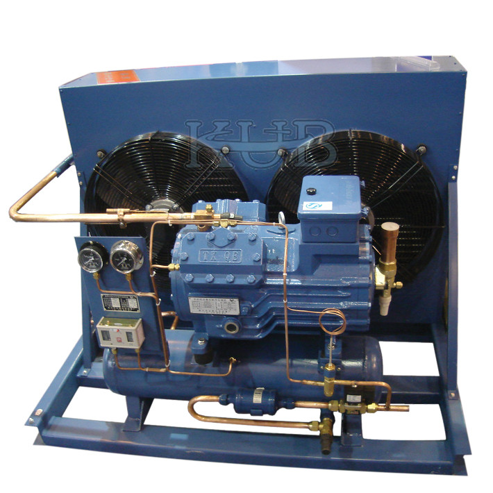 V2084Y sturdy and compact design Italy frascold condensing unit for cold room