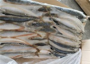 China 75g 80g Gutted Shape Frozen Mackerel Fish For Bait wholesale