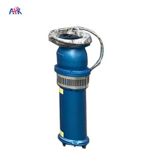 China 220m3/H 5m Horizontal Irrigation Water Submersible Pump wholesale