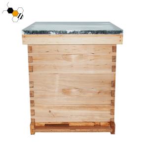 China 20mm Thickness Langstroth Beehive wholesale