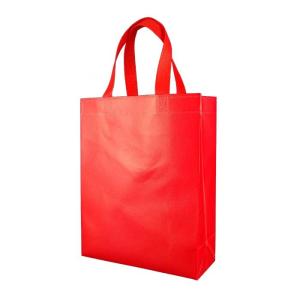 China Disposable Fabric 120gsm Polypropylene Reusable Shopping Bags Anti Static wholesale