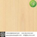 Bintangor,oak,maple natrual veneer