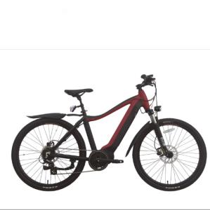 China 200w 2 Wheel Drive Electric Bike Adult 29 Inch 40 Mph E Fat Tire Portable Motorized Bike wholesale