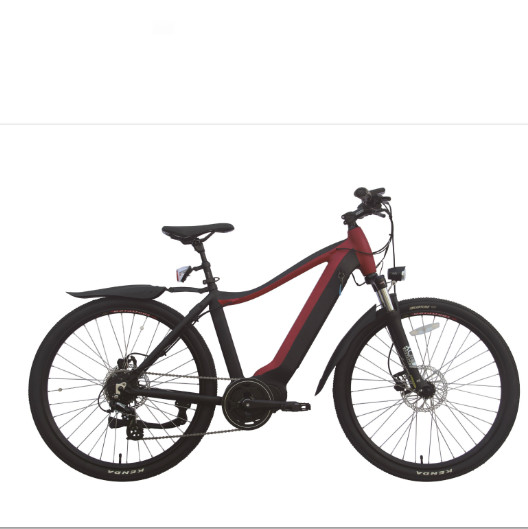 200w 2 Wheel Drive Electric Bike Adult 29 Inch 40 Mph E Fat Tire Portable