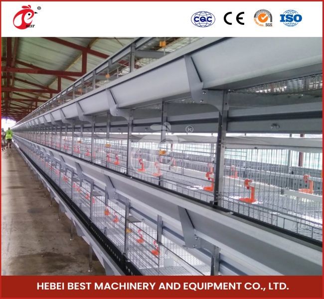 H Type Layer And Broiler Automatic Battery Chicken Cage Equipment House Design Ada
